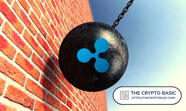 TapJets and I-Remit Can Now Officially File Amicus Briefs In Lawsuit Supporting Ripple Against SEC
