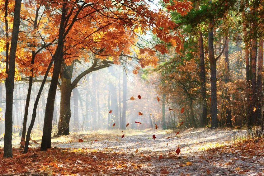 Creators of Meta’s failed Diem stablecoin now launches Aptos Autumn mainnet