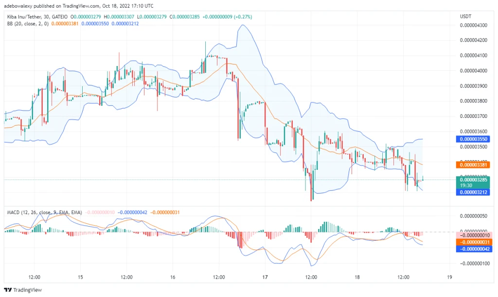 Kiba Inu Price Prediction Today, October 19, 2022: KIBA/USDT Is Consolidating