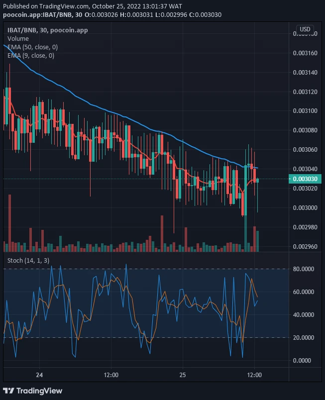 Battle Infinity Price Prediction for Today, October 26: IBATUSD to Experience a Heavy Bounce Soon