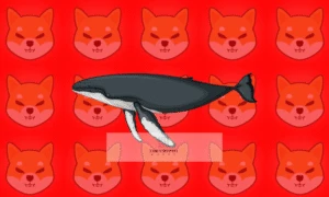 Major Whale Buys 165B Shiba Inu As Price Surges 13%