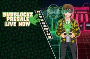 Azuki And Budblockz Are the Hottest NFT Collections to Buy Now