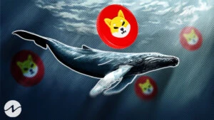 Mysterious ETH Whale Accumulated 133.53 Billion SHIB Coins in Just One Day