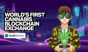Elrond, Internet Computer and BudBlockz Price Analysis November 2022