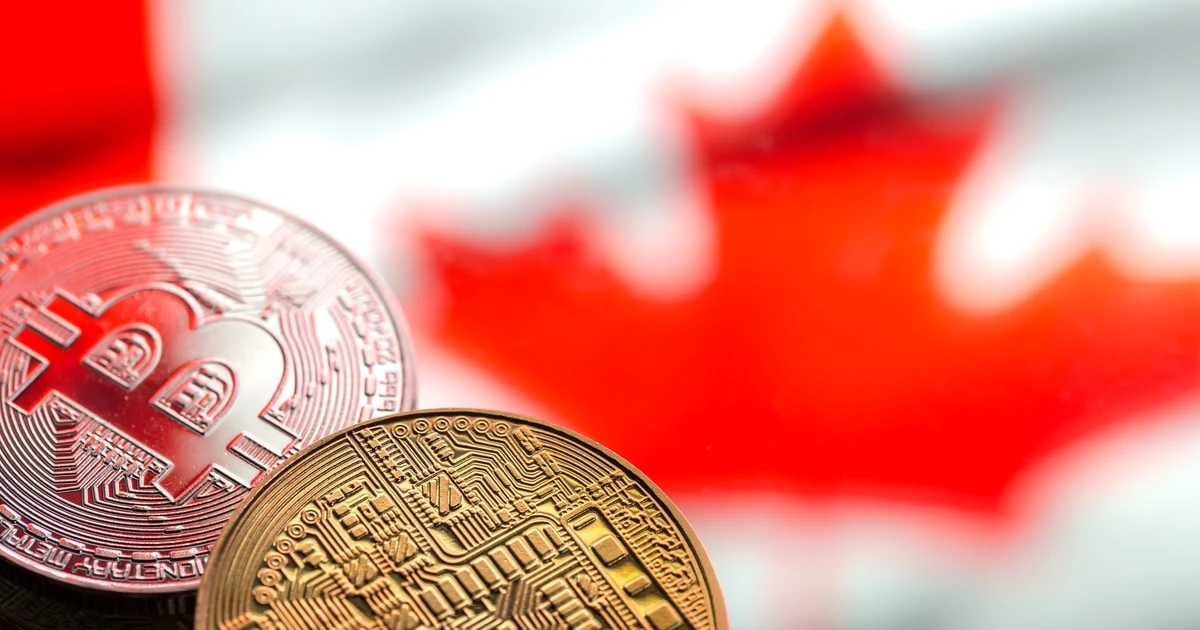 Bitvo abandons FTX purchase