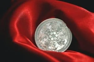 Cardano’s Tim Harrison Claps Back At Critic