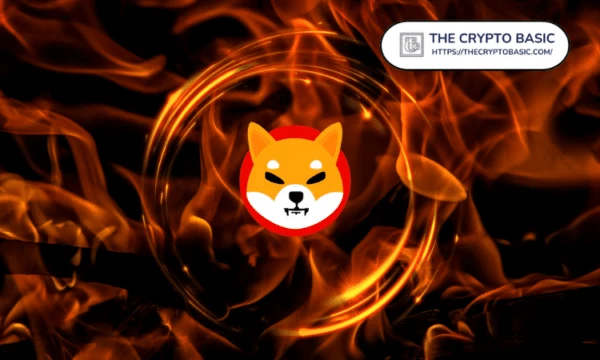 Single Wallet Burns 26.7 Million Shiba Inu