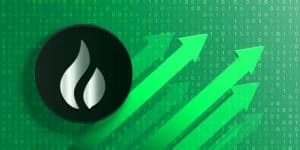 Weekly Market Update: Huobi Token & ApeCoin Shine Amidst FTX’s Collapse