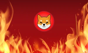 37M Shiba Inu Burned in 24 Hours, Single Wallet Burns 20M Shib, Rewards 19M