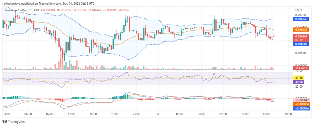 Tamadoge Price Prediction for the 5th of December: The Long-Term Outlook on TAMA Is Bright