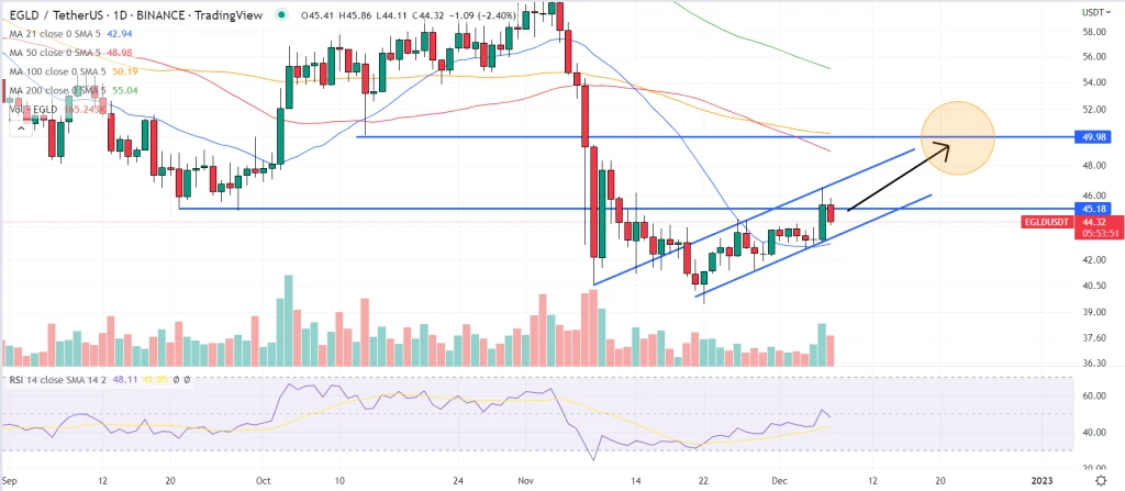 EGLD Price Prediction As Coinbase Lists MultiversX (Elrond)