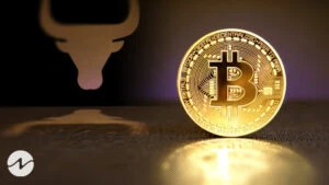 Bitcoin (BTC) To Reach $1M – Samson Mow