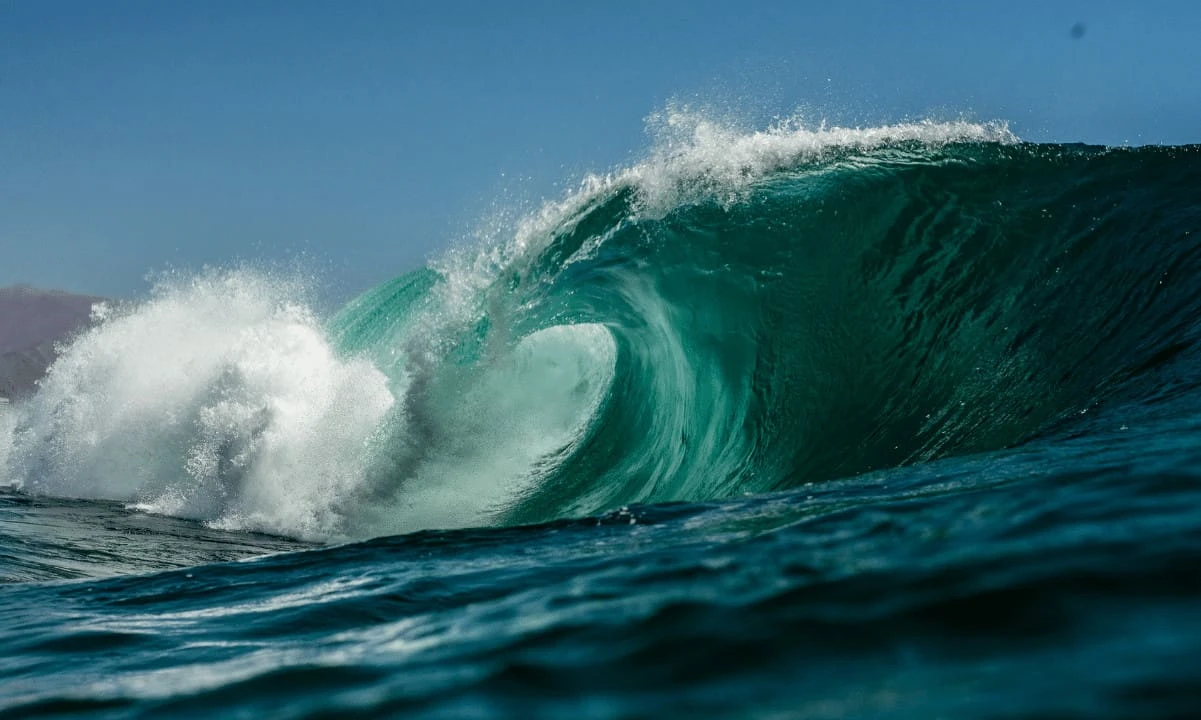 Waves Breaks Silence Over DAXA Investigation, USDN Stablecoin Fails to Repeg