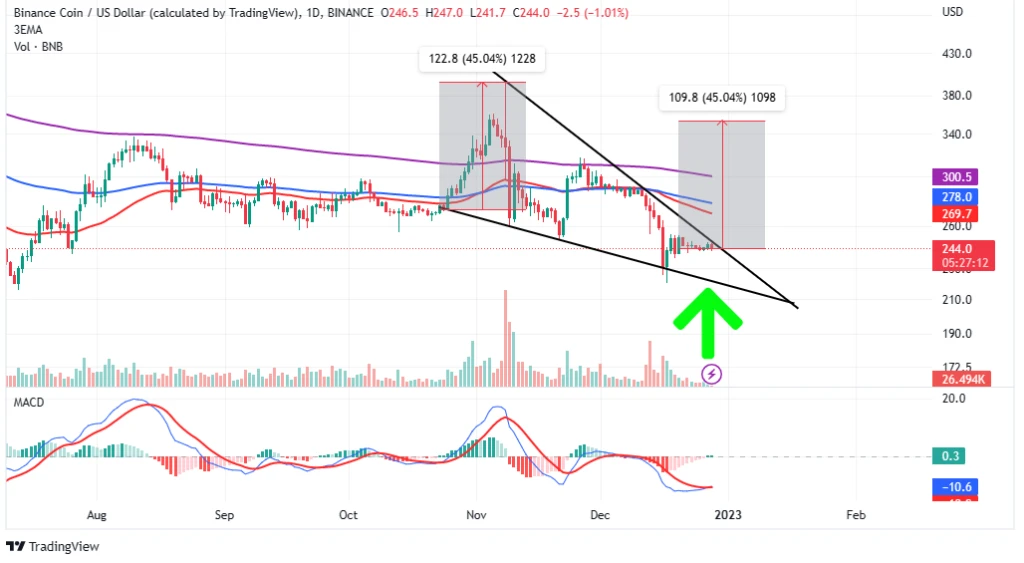Binance Coin Price Prediction: How To Catch Possible 45% Bullish Move in BNB Price Ahead of 2023