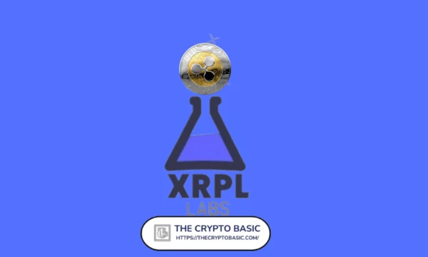 First XRPL Healthcare Marketplace Set To Launch With ScriptCo Partnership