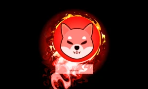 40M Shiba Inu Burned Over Weekend, 196M in 7 Days