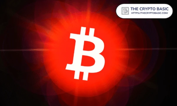 South African Retail Giant “Pick N Pay” Now Accepts Bitcoin in all of its 1,628 Stores
