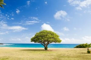 Decentraland (MANA) Price Drops, Aptos (APT) Price Increases, Orbeon Protocol (ORBN) Thrives