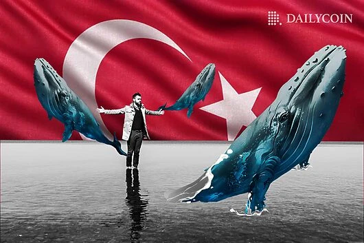 Shiba Inu (SHIB) Main Developer Urges Whales to Help Turkey