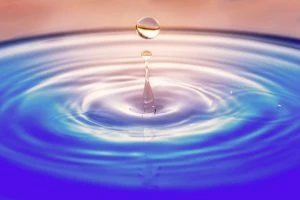 Ripple CTO’s Heated Face Off With BTC SV Supporter
