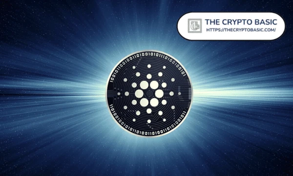 COTI Adds Multi-Wallet Support For Cardano Stablecoin