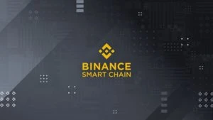 BNB Chain’s DeFi Protocol LaunchZone Loses $700K In Liquidity Pool Hack: Report