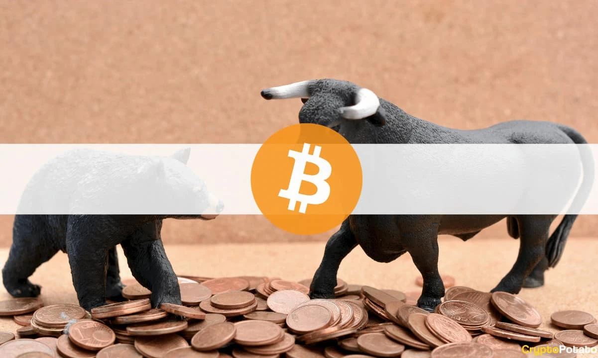 Crypto Bull Run May Have Already Started, One River CEO Says