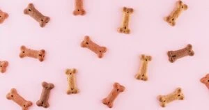 Shiba Inu’s BONE Starts Trading At Justin Sun-Backed Exchange