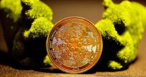 Cardano NFT Project Releases New Collection Featuring Snoop Dogg