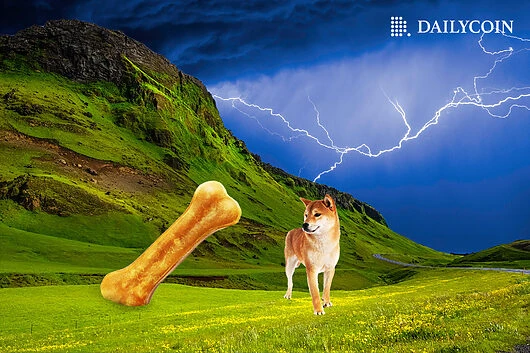 Shiba Inu’s BONE Tumbles 31% as Crypto.com Adds CRO/BONE