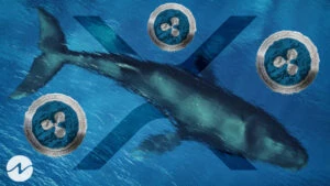 Ripple’s 104M XRP Tokens Moved by Whales in the Last 24 Hours