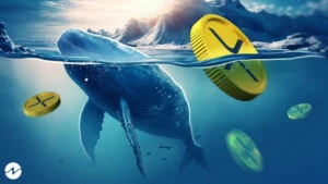 Ripple (XRP) Shows Massive Whale Movement Again