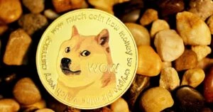 Dogecoin Slid By 4% As SpaceX’s “Starship” Postpone Launch By 48 Hrs