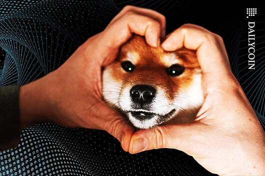 Shibarium’s Puppynet Popularity Grows as BONE Price Tumbles