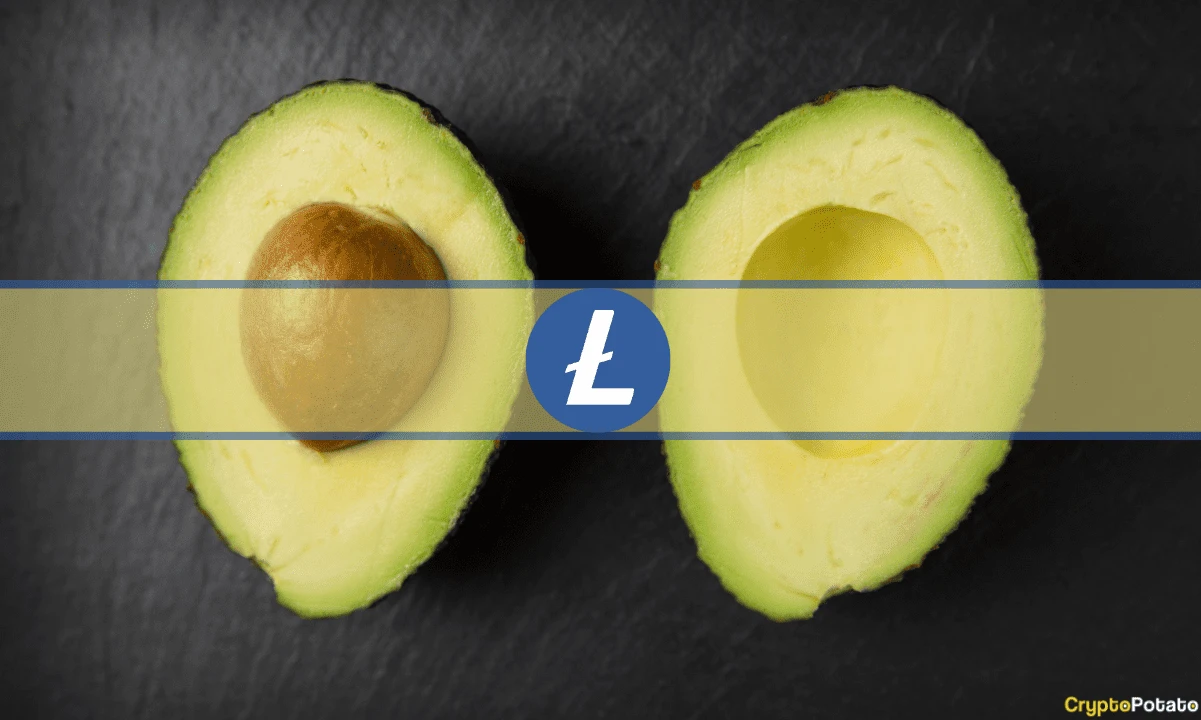 100 Days Left Until Litecoin’s Third Halving: What Do You Need to Know?