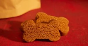 Shiba Inu BONE Jumps 9% Following This Listing