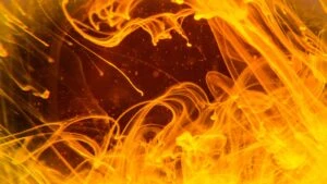 Shiba Inu Burn Rate Surges 1360%, 13M Wiped Out In 24 Hours