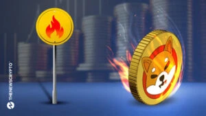 Shiba Inu Burn Rate Turns Negative Despite Promising Developments