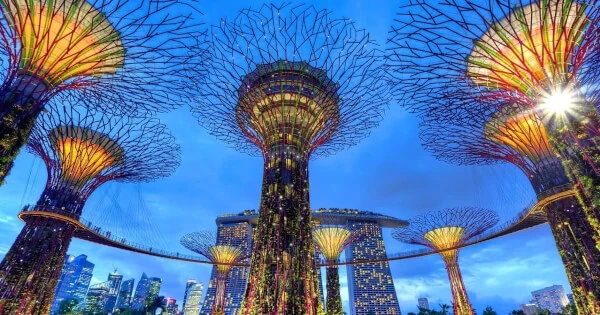Temasek invests in algorithmic currency system