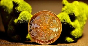 Cardano’s 1st Mainnet Compatible Hydra-Node Went Live