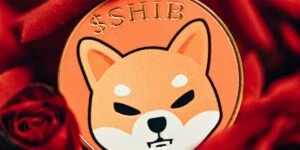 Shiba Inu Cold Wallets For Pre-Order: Tangem Collaboration Announced