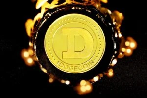 Spam Surge Strains Dogecoin’s Network: Community Seeks Solutions