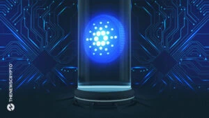 Staking Baskets Steer Cardano’s Profit Potential Amid Over 3 Million ADA Losses