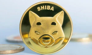 Australian Crypto Exchanges List Shib Token’s BONE, Creating A Frenzy Among Investors