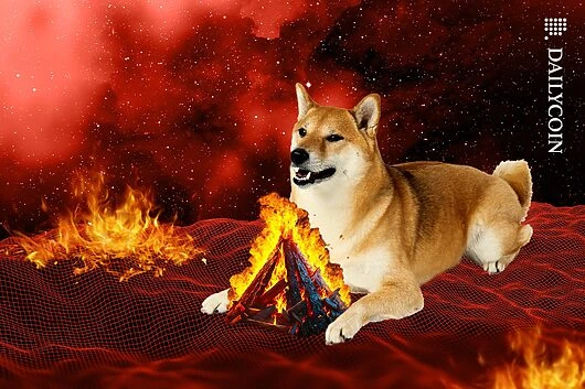 SHIB Burn Sparks Up 6,936%, Boosting SHIB Above Key Support