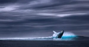 Ethereum’s Price Rally Stalls After Dormant Whale Move $15M
