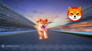 Shiba Inu (SHIB) Ends 14 Days Pump, Could This Be the Reason?