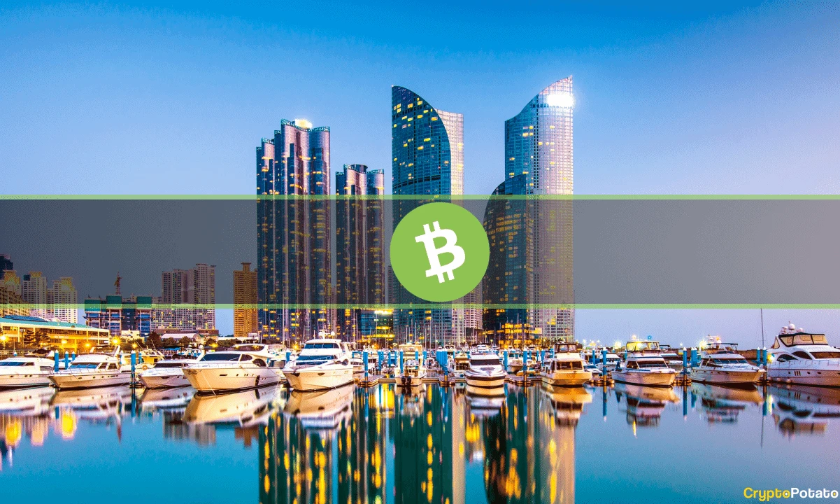 Bitcoin Cash Trading Volume on Upbit Skyrockets as BCH Soars 120% Weekly