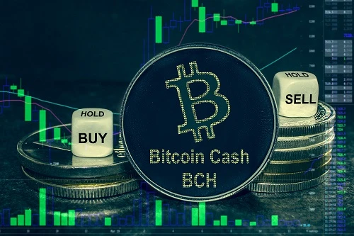 Bitcoin Cash jumps to 14-month high amid South Korea volume spike