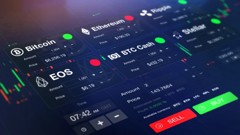 Top crypto gainers XRP, XLM, SOL, ADA, And MATIC